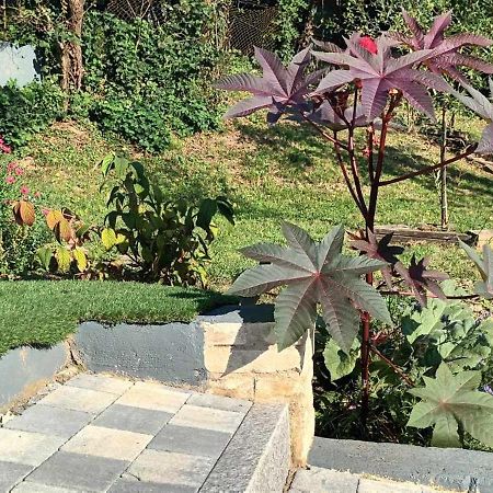 Au Fond Du Jardin Villa Wintzenheim-Kochersberg Bagian luar foto